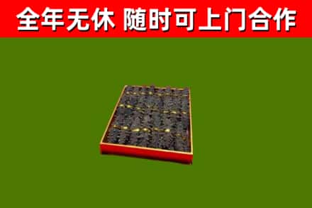 石排镇回收海参